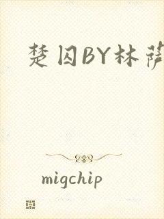 楚囚BY林萨