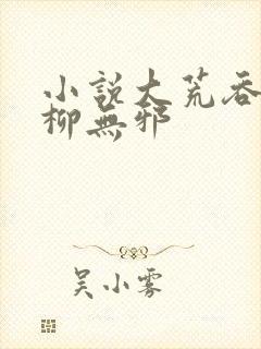 小说大荒吞天诀柳无邪封面