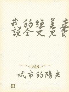 我的绝美老婆小说全文免费阅读