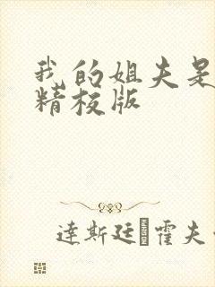 我的姐夫是太子精校版封面