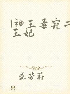 l神王毒宠二嫁王妃