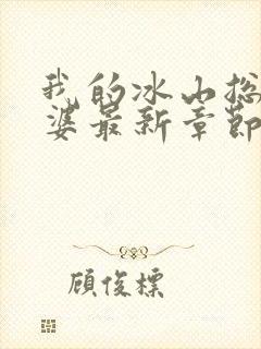 我的冰山总裁老婆最新章节封面
