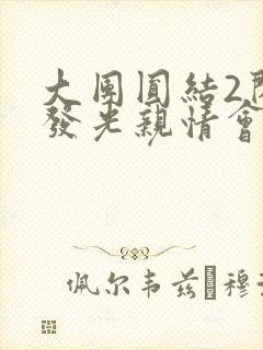 大团圆结2闪闪发光亲情会
