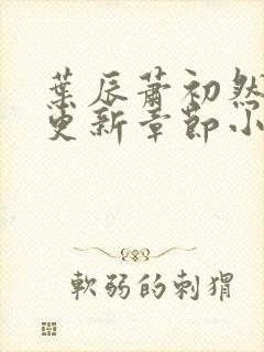 叶辰萧初然最新更新章节小说封面