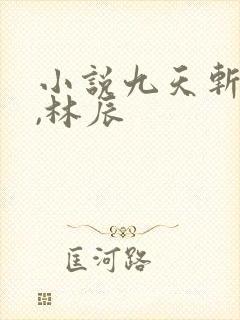 小说九天斩神诀,林辰