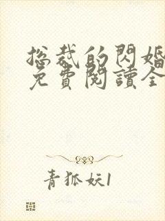 总裁的闪婚甜妻免费阅读全文封面