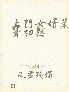 上门女婿叶辰和萧初然