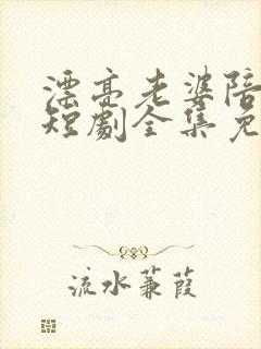 漂亮老婆陪过年短剧全集免费