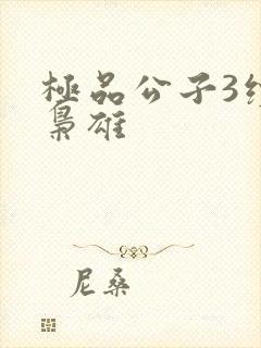 极品公子3续世枭雄