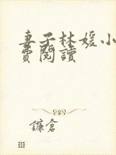 妻子林媛小说免费阅读