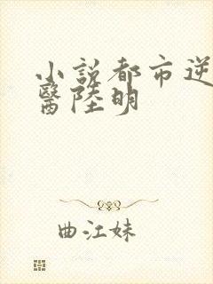 小说都市逆天邪医陆明