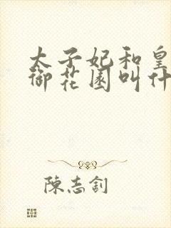 太子妃和皇帝在御花园叫什么小说