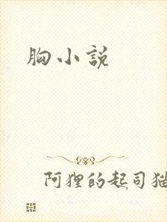 胸小说