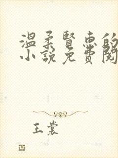 温柔贤惠的妻子小说免费阅读