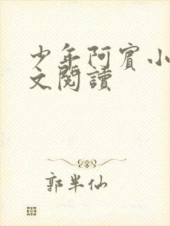 少年阿宾小说全文阅读封面