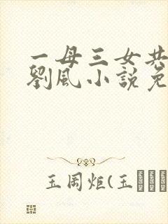 一母三女共一婿刘风小说免费阅读封面