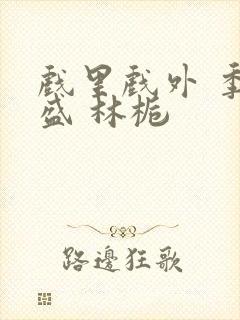 戏里戏外 季淮盛 林栀封面