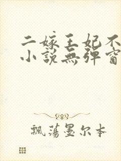 二嫁王妃不好惹小说无弹窗