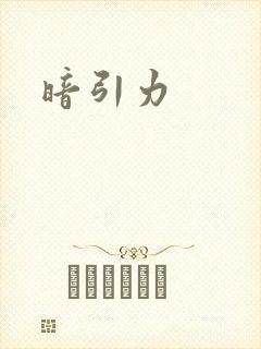 暗引力封面