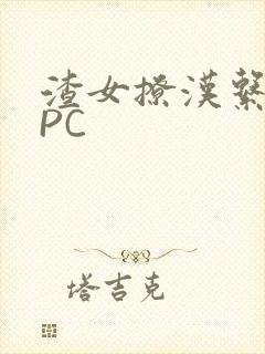渣女撩汉系统NPC