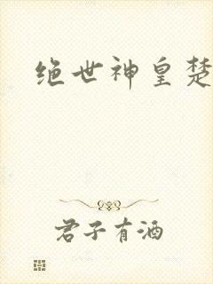 绝世神皇楚风