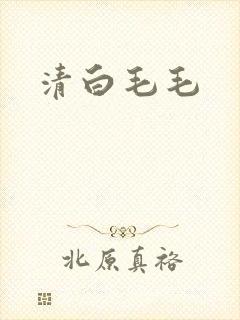 清白毛毛