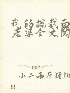 我的总裁白富美老婆全文阅读无删减