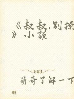 《叔叔,别撩我》小说