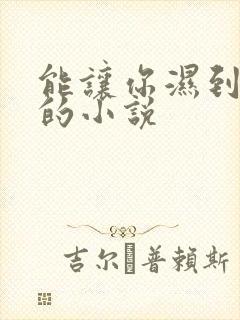 能让你湿到不行的小说