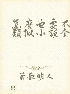 怎么也要不够她类似小说全文免费封面