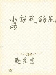小说我的风流妈妈