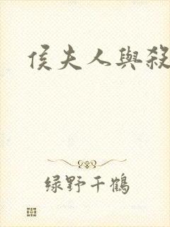 侯夫人与杀猪刀封面