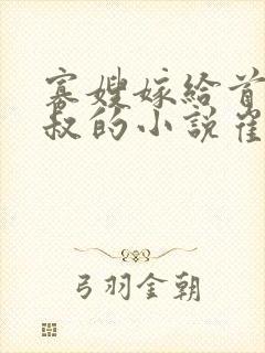 寡嫂嫁给首辅小叔的小说崔