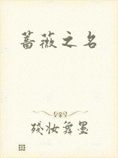 蔷薇之名封面