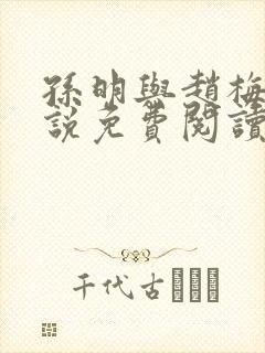 孙明与赵梅兰小说免费阅读封面