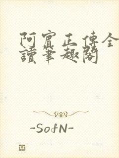 阿宾正传全文阅读笔趣阁