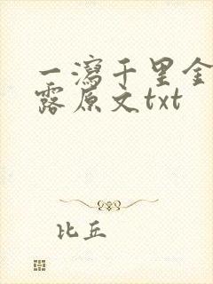 一泻千里金银花露原文txt封面