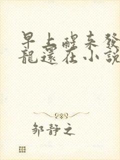 早上醒来发现巨龙还在小说