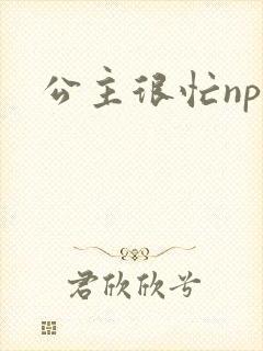 公主很忙npc