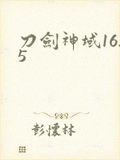刀剑神域16.5封面