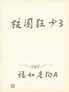 校园狂少3封面