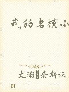 我的名模小娇妻