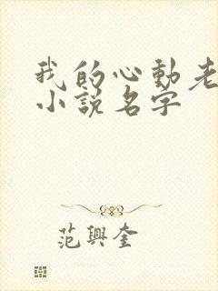 我的心动老板娘小说名字