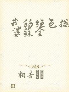 我的绝色总裁老婆苏金
