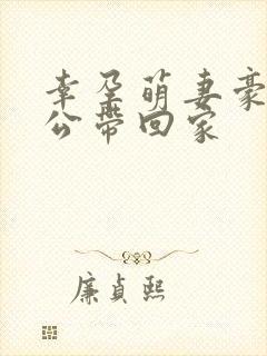 幸孕萌妻豪门老公带回家