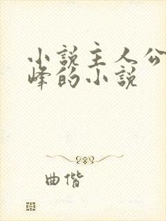 小说主人公叫林峰的小说