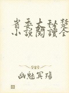 省委大秘楚东恒小说阅读全文