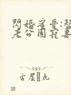 闪婚蜜爱:替补老公团宠妻