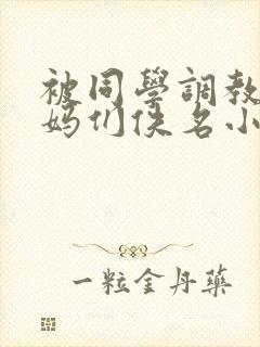 被同学调教的妈妈们佚名小说免费阅封面