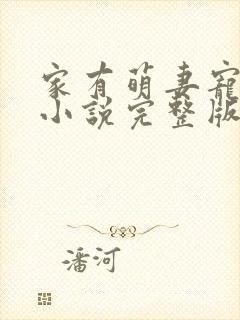 家有萌妻宠上天小说完整版免费阅读